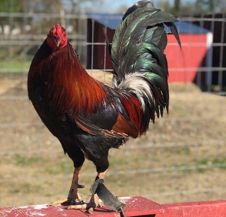 WhatsApp Image 2025-11-22 at 08.22.33 (1)